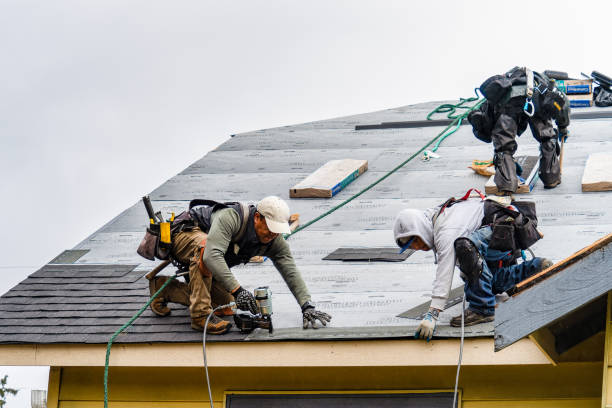 Professional Storm Damage Roof Repair technician working in Summitville, NY